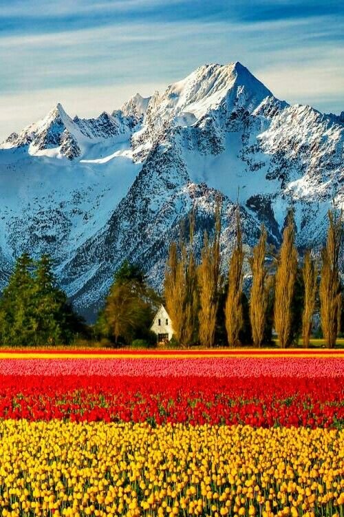 kashmir-tour-package